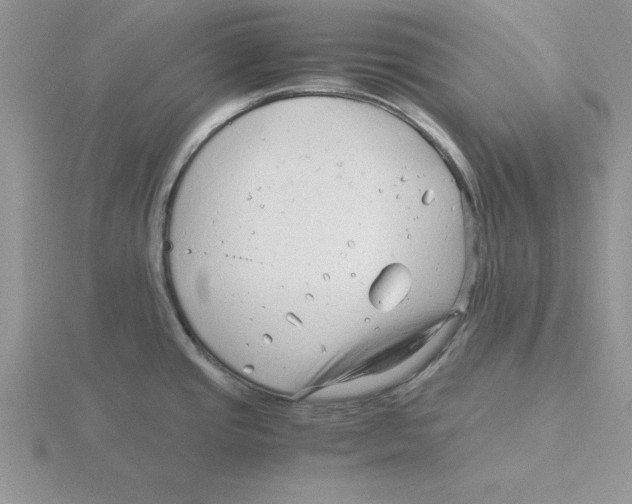 X0000115821437200912111242