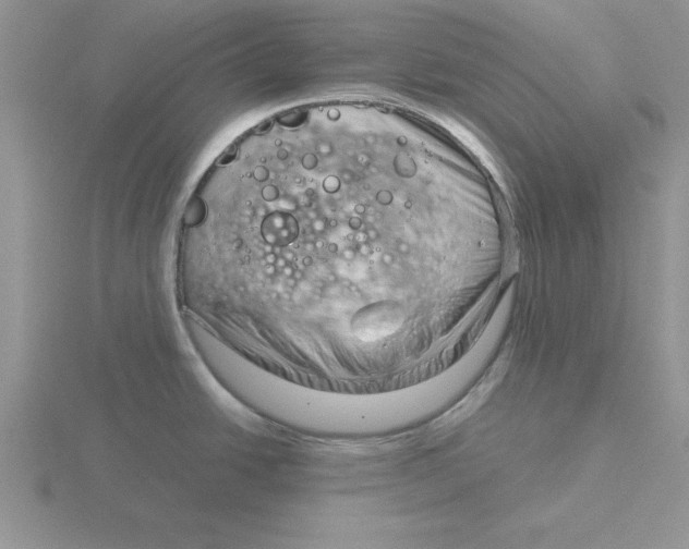 X0000115821438200912111242