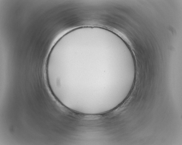 X0000115821440200912111242