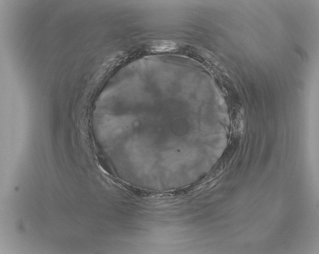 X0000115821441200912111241