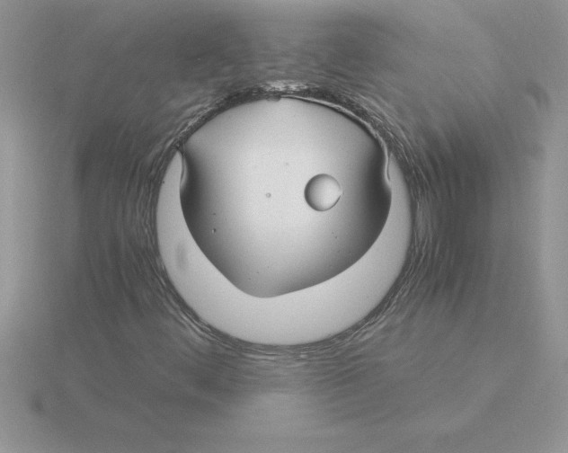 X0000115821444200912111241