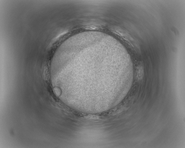 X0000115821446200912111241