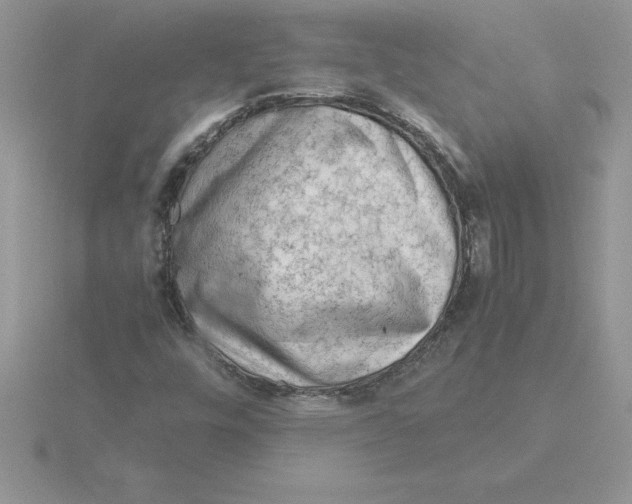 X0000115821448200912111241