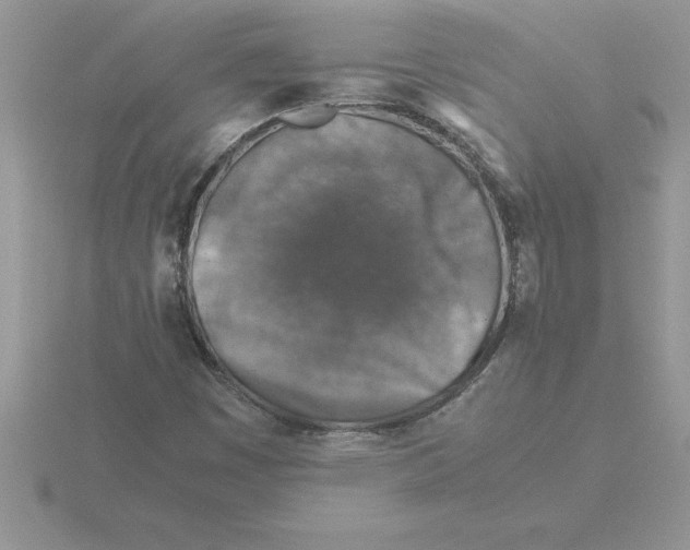 X0000115821449200912111241