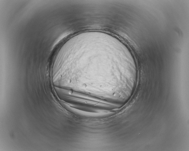 X0000115821450200912111241