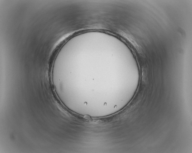 X0000115821452200912111241