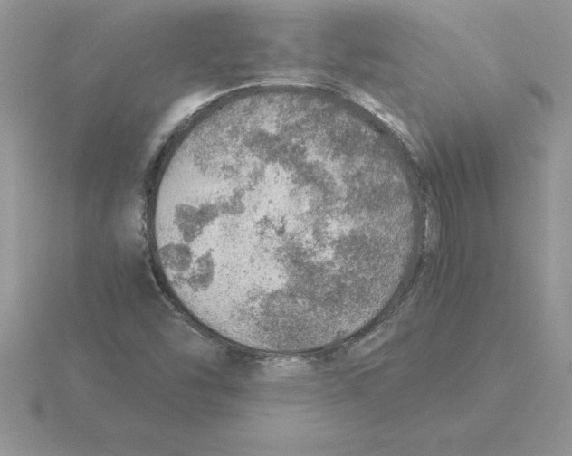 X0000115821454200912111241