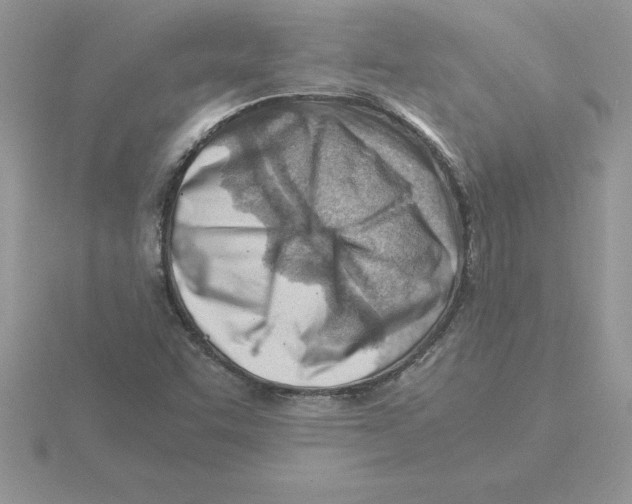 X0000115821455200912111241