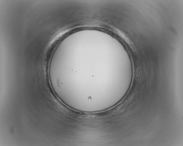 X0000115821456200912111241