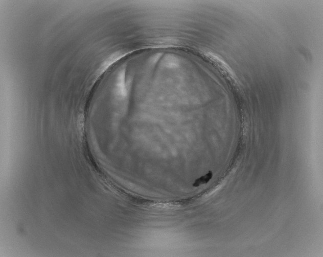 X0000115821457200912111241