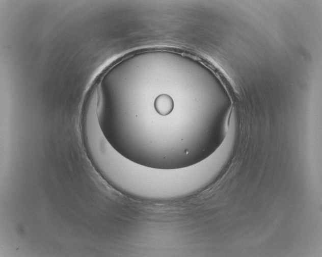 X0000115821460200912111241