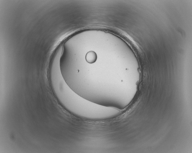 X0000115821461200912111241