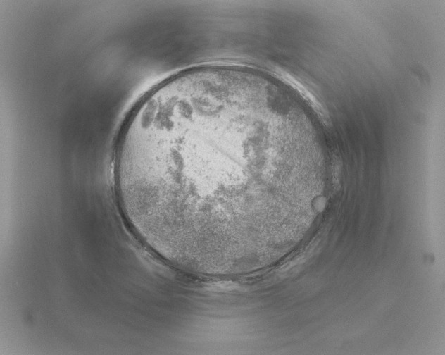 X0000115821462200912111241