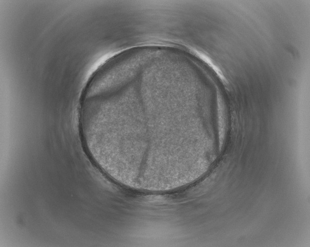 X0000115821463200912111241