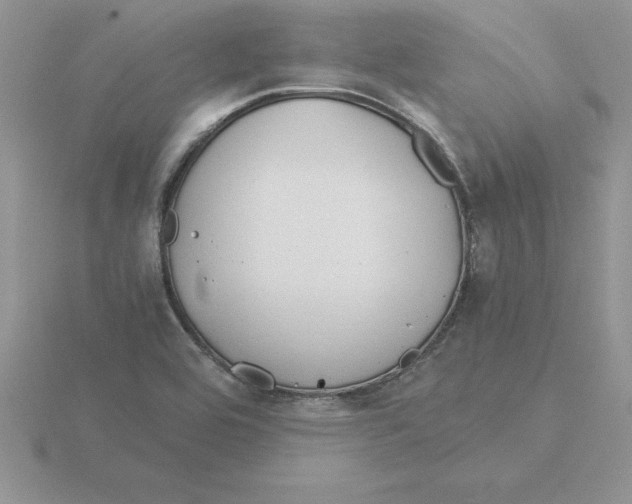 X0000115821464200912111241