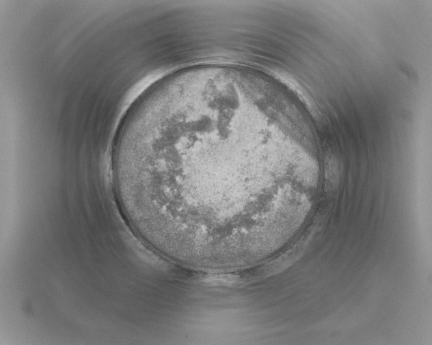 X0000115821466200912111241