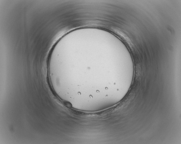 X0000115821467200912111241