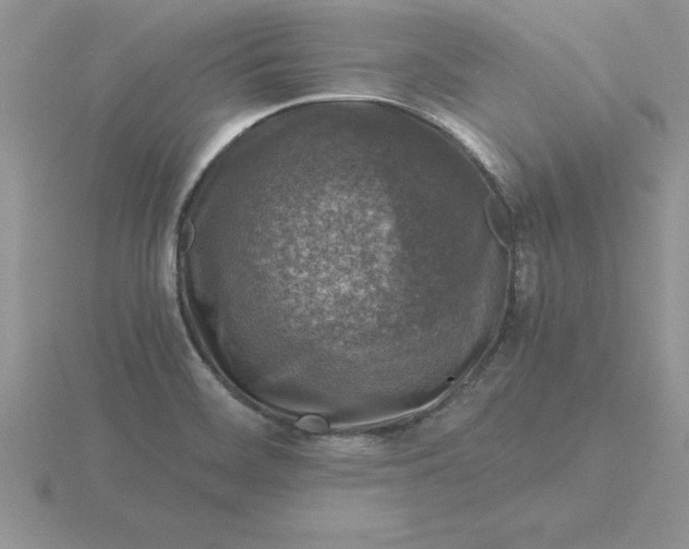 X0000115821468200912111241