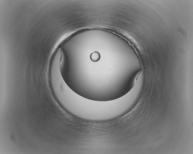 X0000115821469200912111241