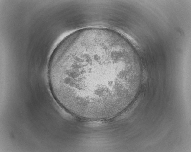 X0000115821470200912111241