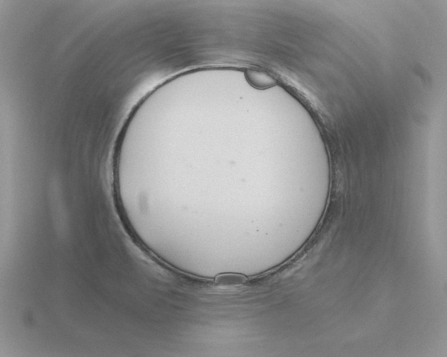 X0000115821471200912111241