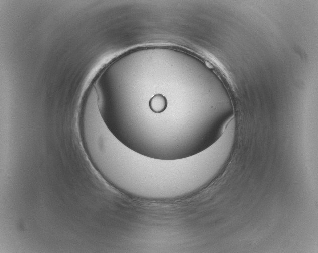 X0000115821472200912111241