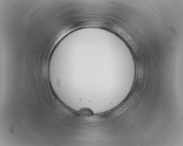 X0000115821473200912111241