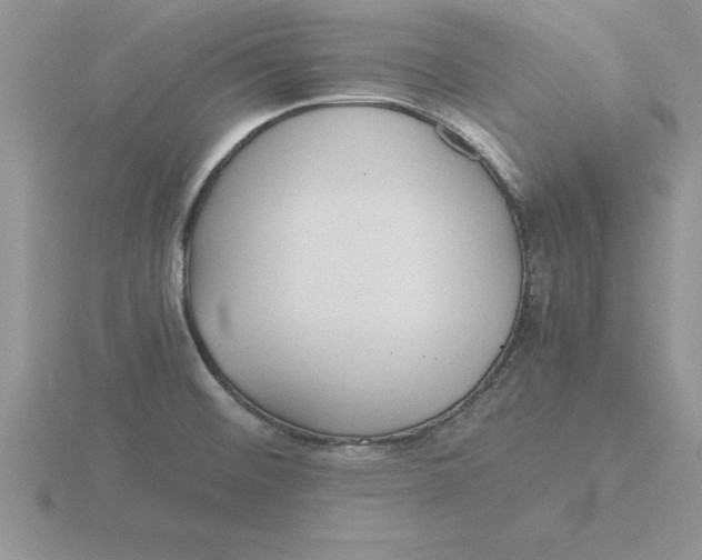 X0000115821476200912111241