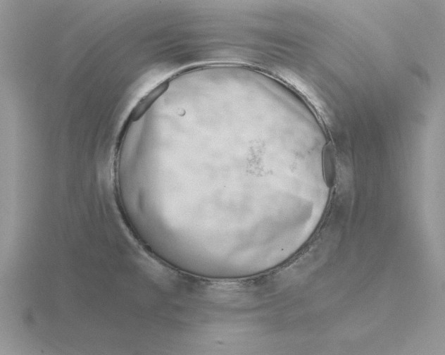 X0000115821477200912111241