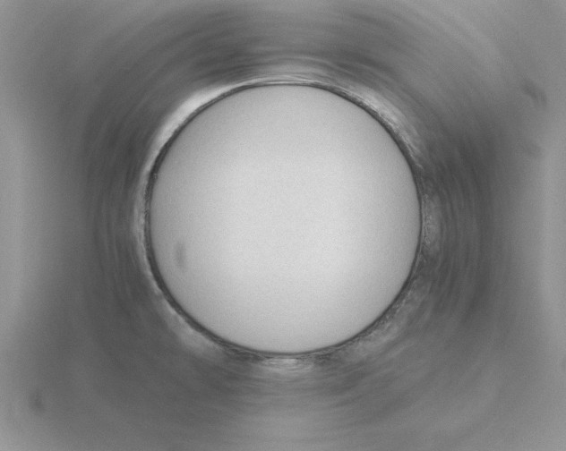 X0000115821478200912111241