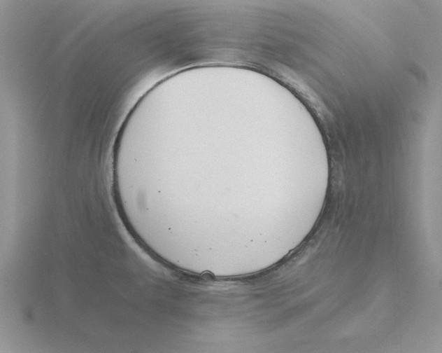 X0000115821479200912111241