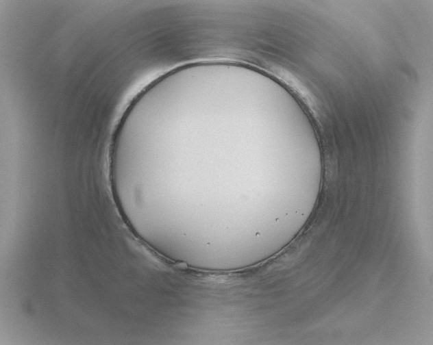 X0000115821480200912111240