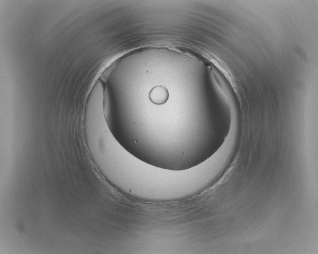 X0000115821481200912111240