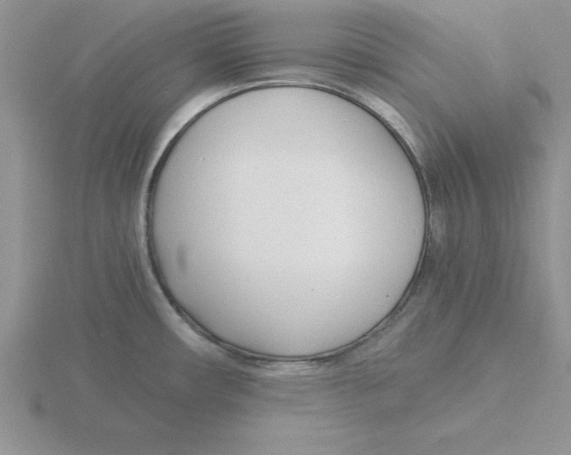 X0000115821482200912111240