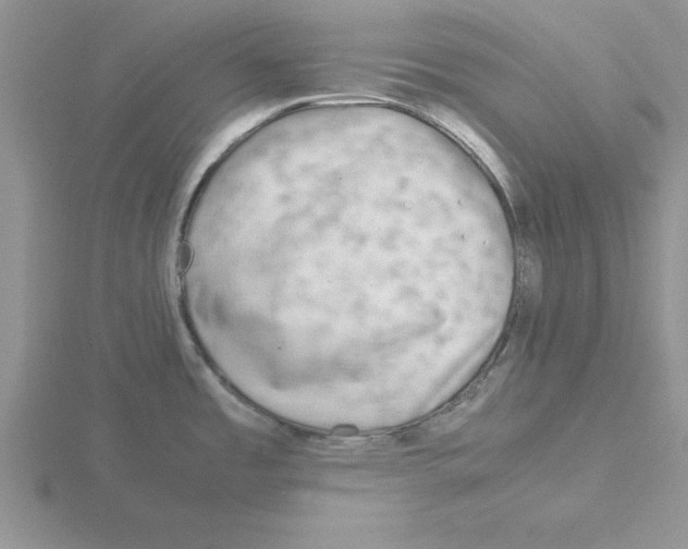 X0000115821485200912111240