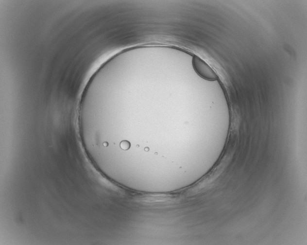 X0000115821486200912111240