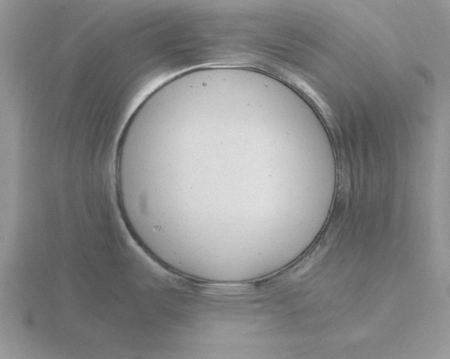 X0000115821487200912111240