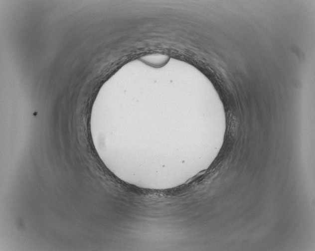 X0000115821489200912111240