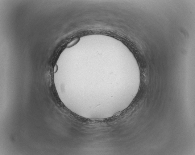 X0000115821493200912111240