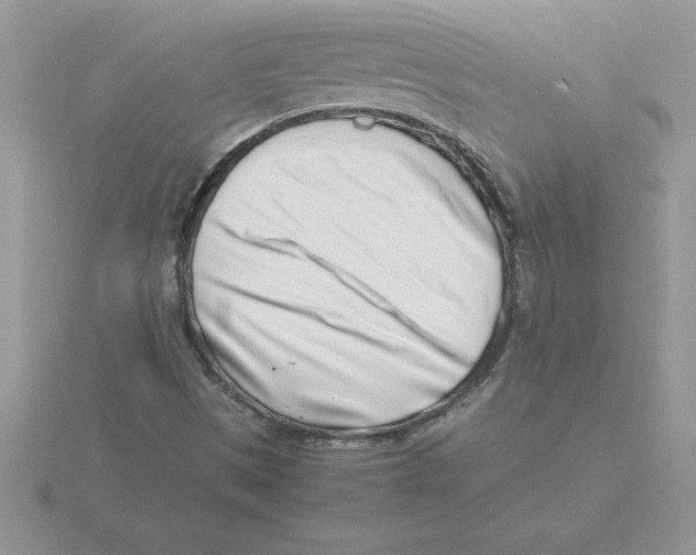 X0000115821497200912111240