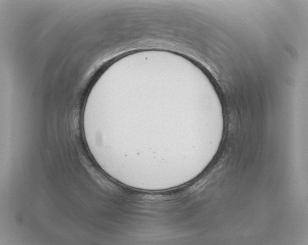 X0000115821499200912111240