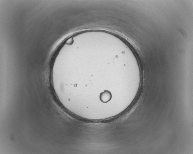 X0000115821502200912111240