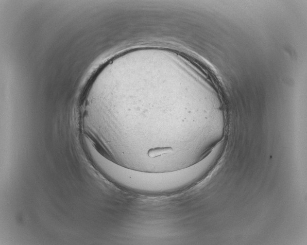 X0000115821506200912111240