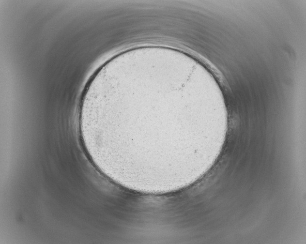 X0000115821514200912111240