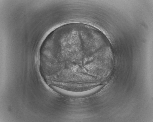 X0000115821515200912111240