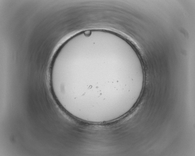 X0000115821517200912111240