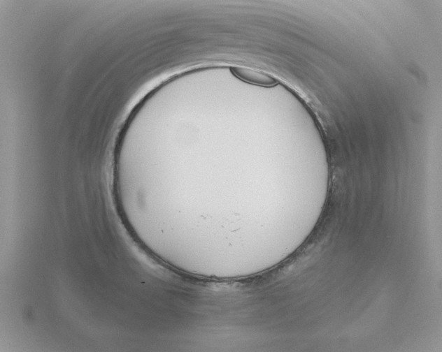 X0000115821523200912111240