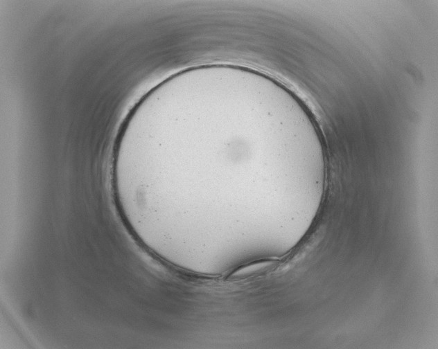 X0000115821525200912111240