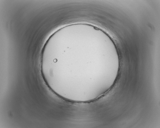 X0000115821526200912111240