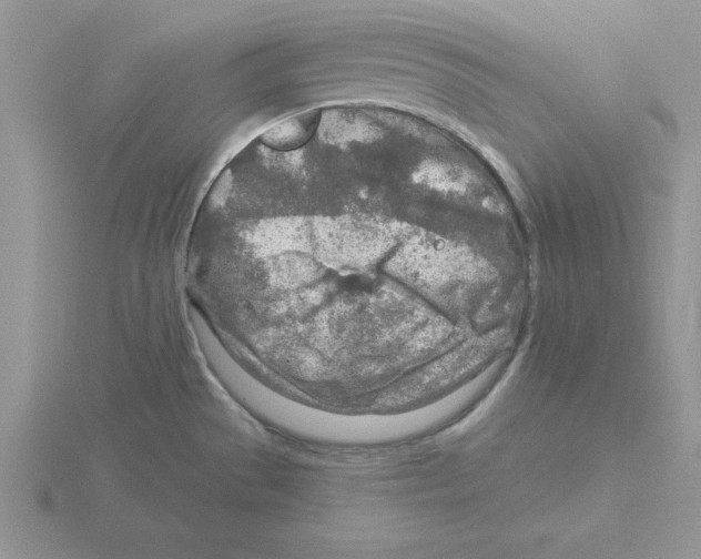 X0000115821529200912111240